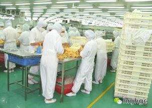 食品凈化車間日常監(jiān)控和管理要求