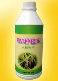 廣州以諾生物科技推出‘em種植寶’水稻專用產品，助力綠色農業發展